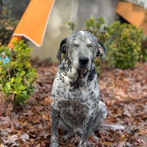 Meet your Posher, Brandy